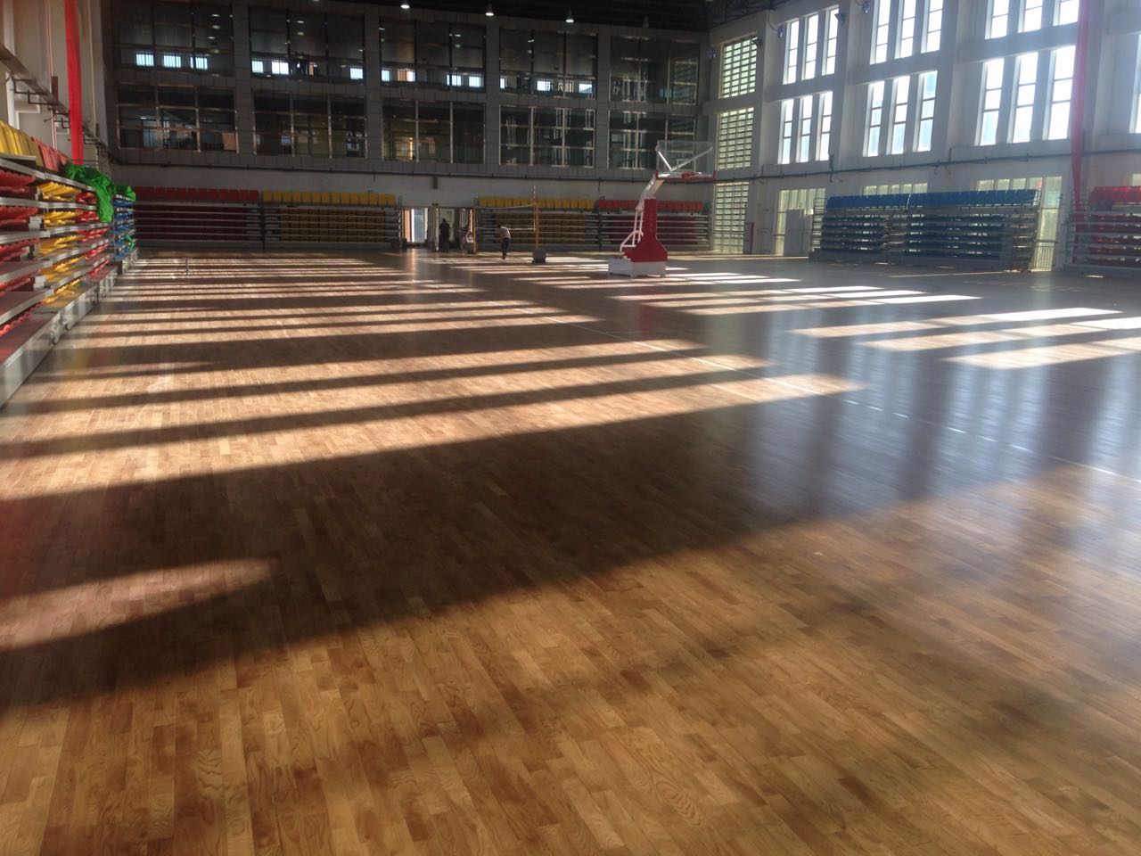 甘肅正寧舞蹈地膠價格實(shí)惠