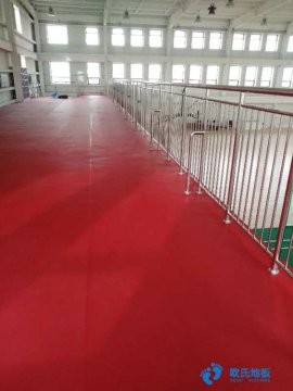 運(yùn)動(dòng)木地板，現(xiàn)代體育場館設(shè)施必備-楊柏林