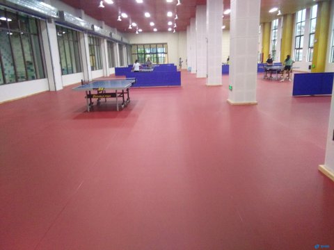 臺州專業(yè)籃球木地板 歐氏運(yùn)動木地板-楊柏林