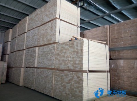 NBA新秀橫空出世，全美都在討論20歲的他