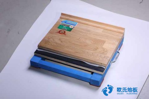 楓木、楓樺木、柞木運(yùn)動(dòng)地板用途是什么