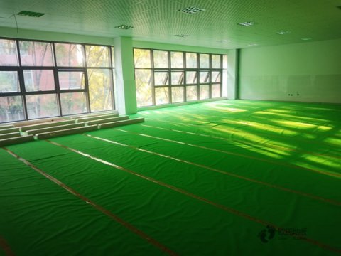 體育運(yùn)動木地板造價(jià)