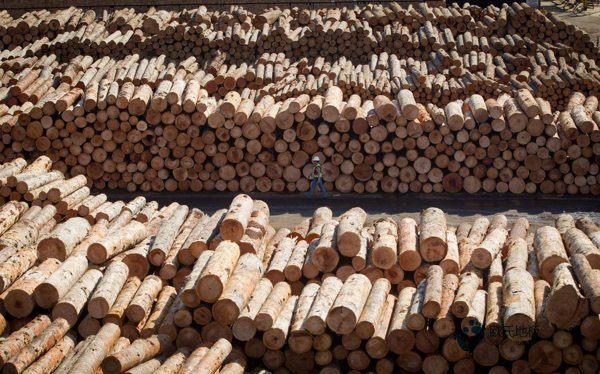 學(xué)?；@球地板反彈力