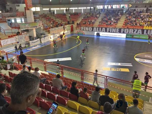 定做體育運(yùn)動木地板哪個(gè)牌子較好1