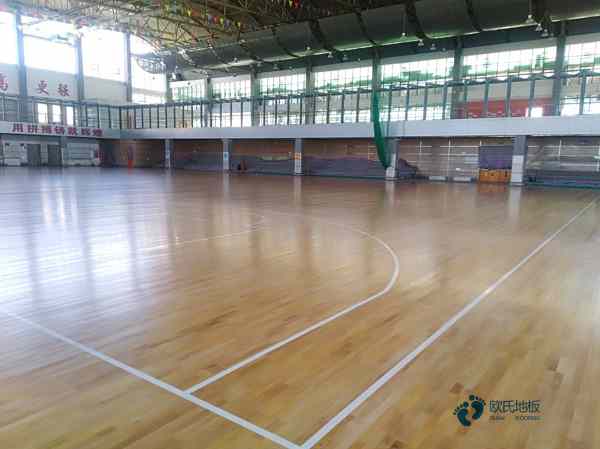 學(xué)?；@球場(chǎng)地地板標(biāo)準(zhǔn)尺寸1
