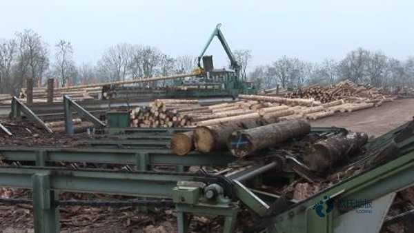 哪里有體育運(yùn)動木地板廠家報價3